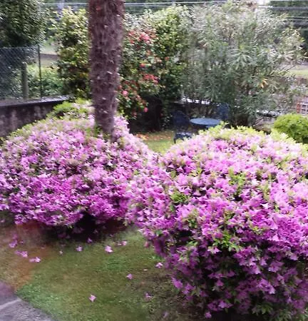 B&B Gli Oleandri