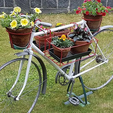 Couette-café Gli Oleandri