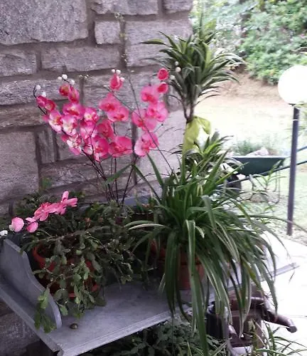 Gli Oleandri 斯特雷萨